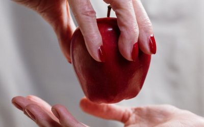 LE GOUVERNEMENT BORNE A LAISSÉ UN CADEAU EMPOISONNÉ AUX AGENTS DE LA RATP