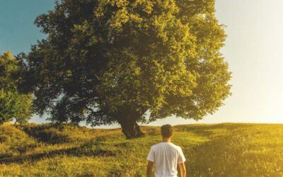 RÉFORME DES RETRAITES RATP ENFIN UN RECUL 👉🏽 DU GOUVERNEMENT