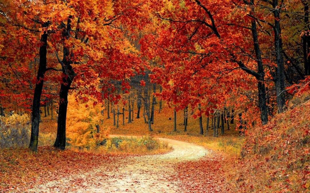 RETRAITES MINIMALES : 2ème vague du versement des augmentations à l’automne