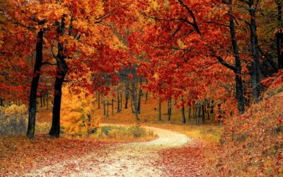 RETRAITES MINIMALES : 2ème vague du versement des augmentations à l’automne