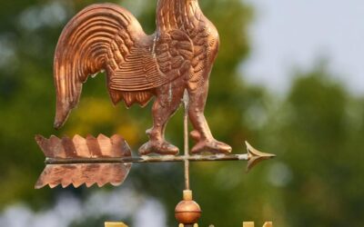 LES AE NE SONT PAS DES GIROUETTES !