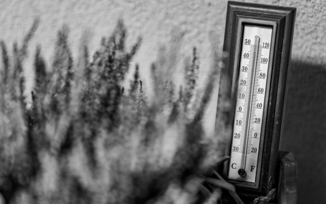 LE THERMOMÈTRE GRIMPE, LES CONDITIONS DE TRAVAIL DES COLLÈGUES DOIVENT SUIVRE!!!